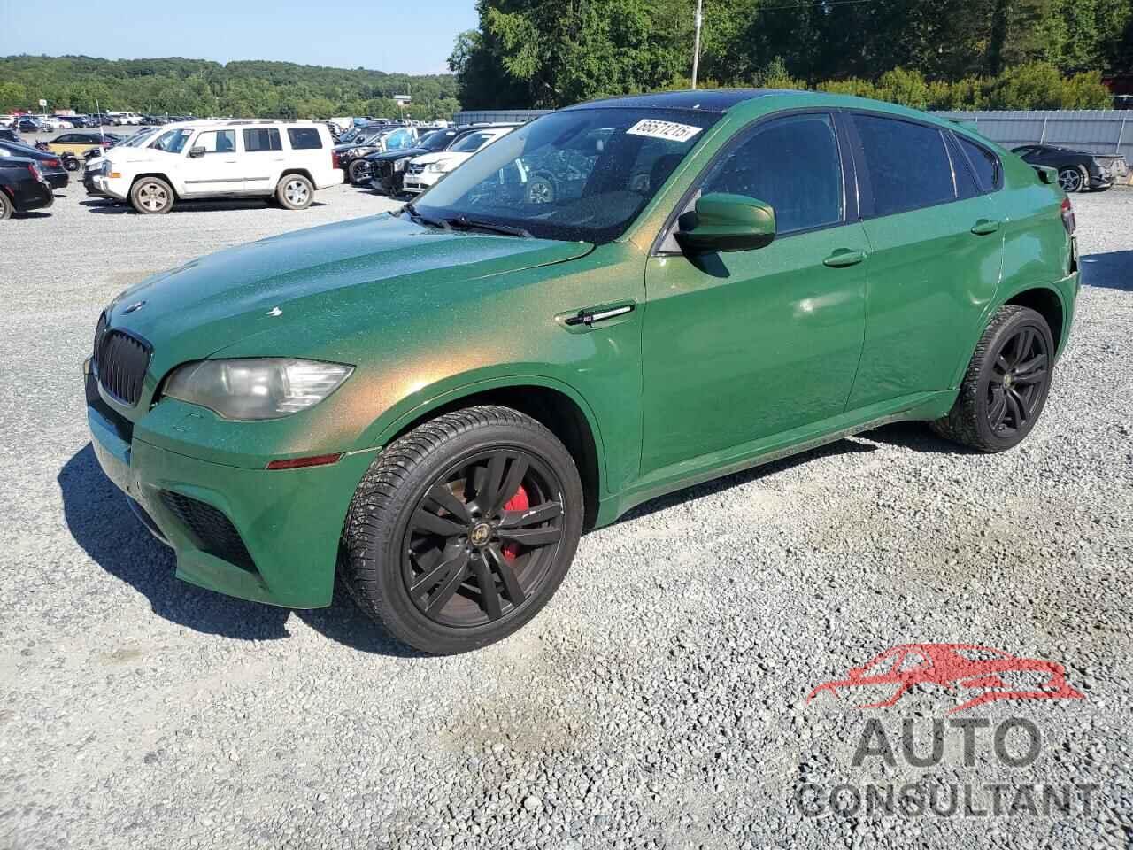 BMW X6 2010 - 5YMGZ0C5XALK13458