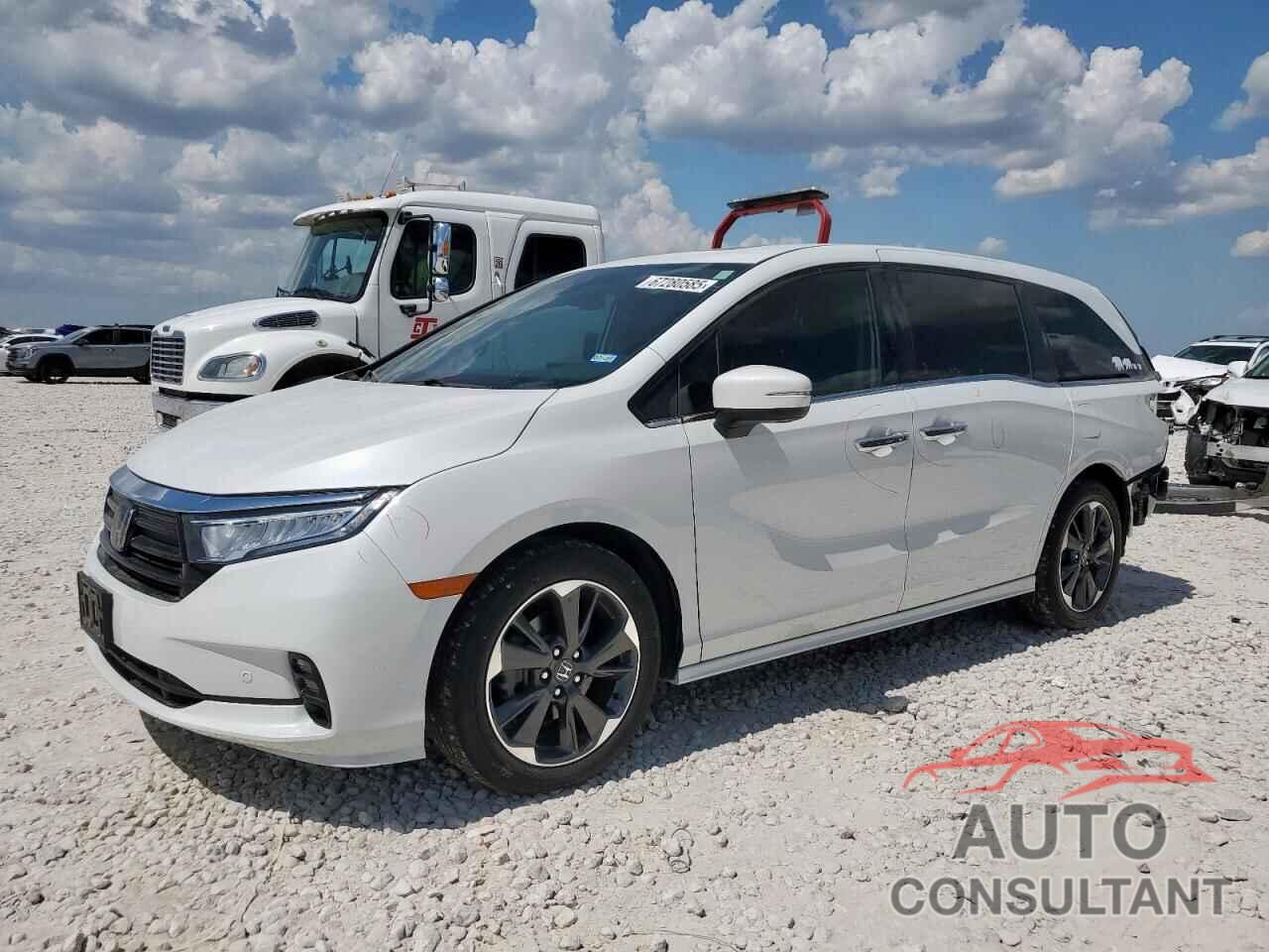HONDA ODYSSEY 2022 - 5FNRL6H90NB055271