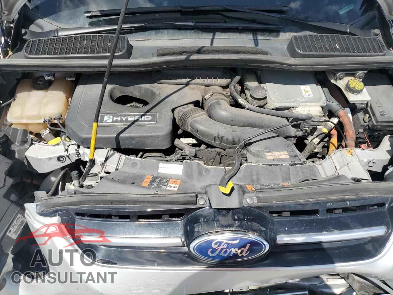 FORD CMAX 2015 - 1FADP5BU5FL116270