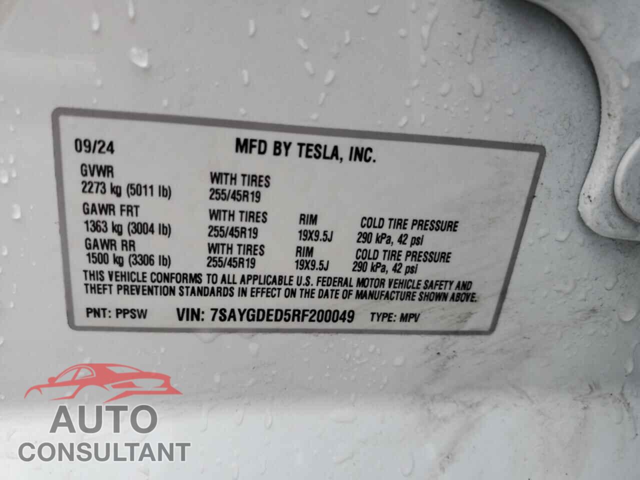 TESLA MODEL Y 2024 - 7SAYGDED5RF200049