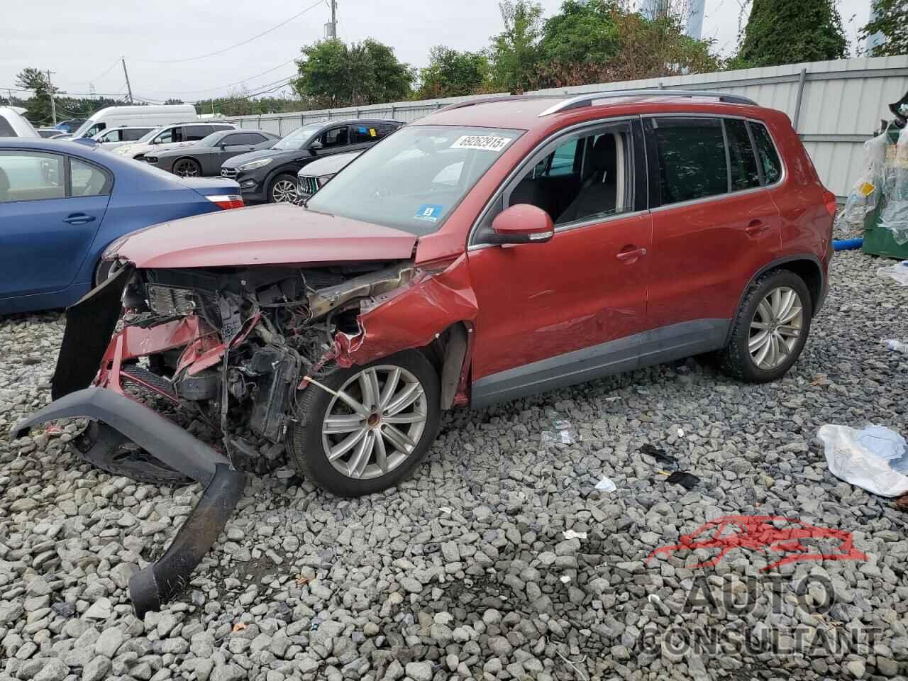 VOLKSWAGEN TIGUAN 2009 - WVGAV75N09W525018