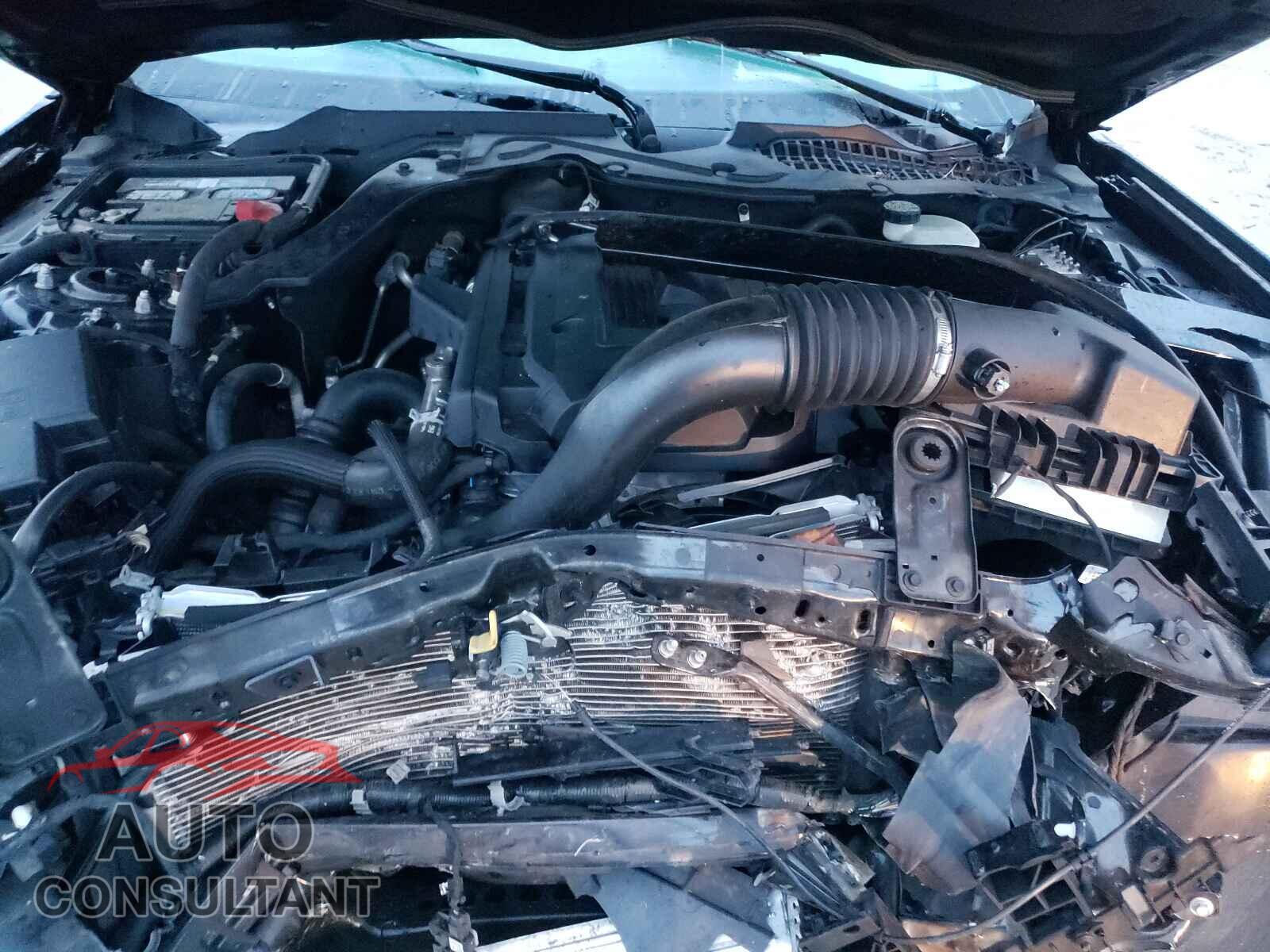 FORD MUSTANG 2017 - 1FA6P8TH3H5262914