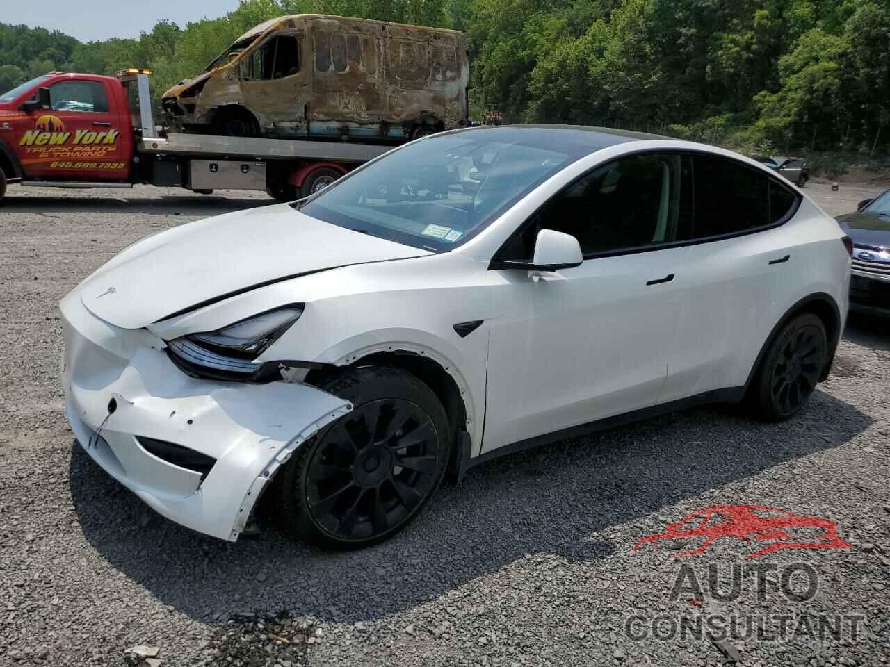 TESLA MODEL Y 2021 - 5YJYGDEE8MF119867