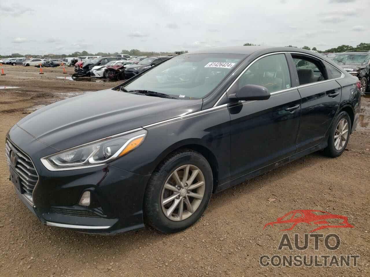 HYUNDAI SONATA 2019 - 5NPE24AF9KH772996