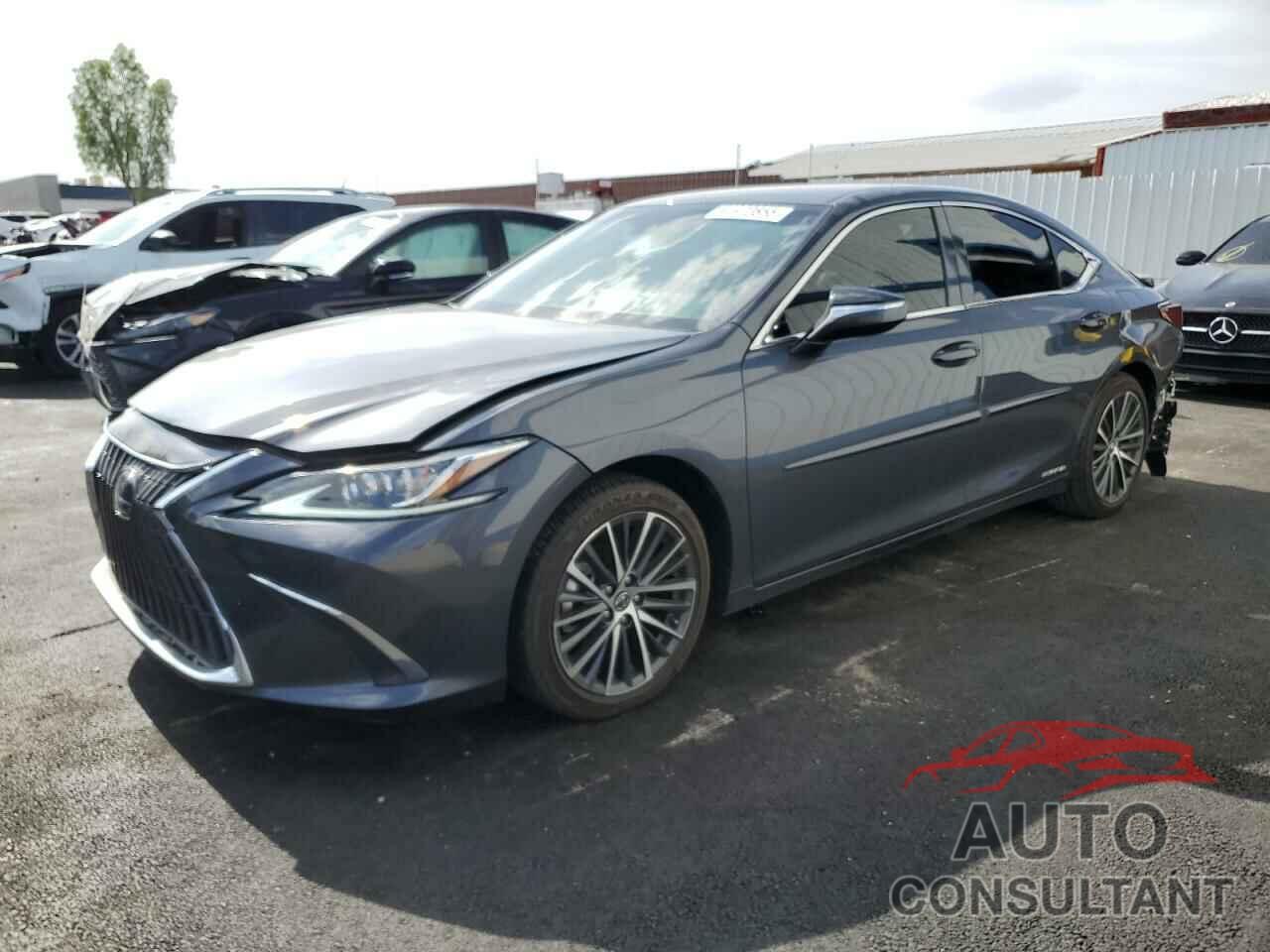 LEXUS ES300 2022 - 58ADA1C17NU017617