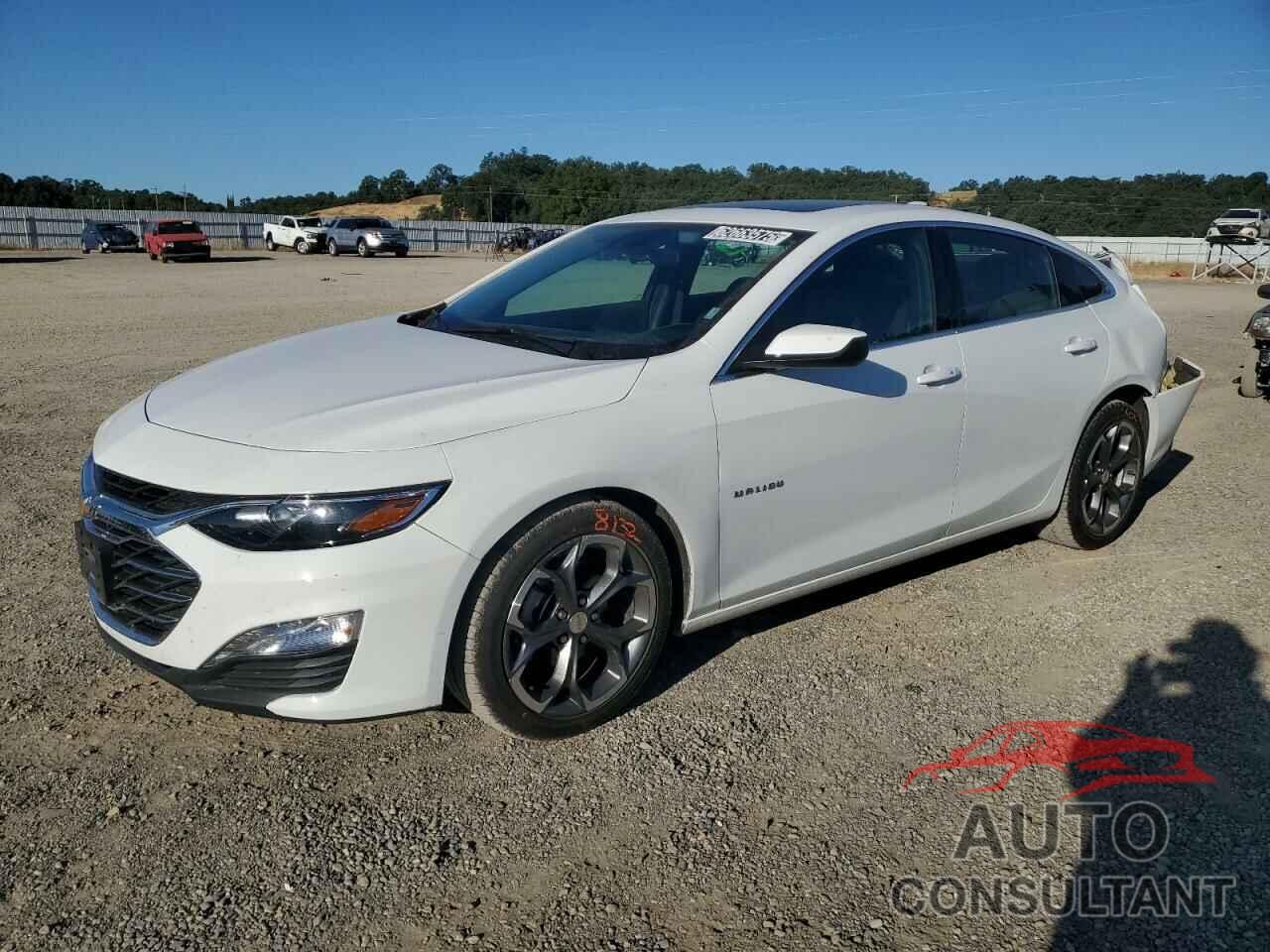CHEVROLET MALIBU 2024 - 1G1ZD5STXRF131441