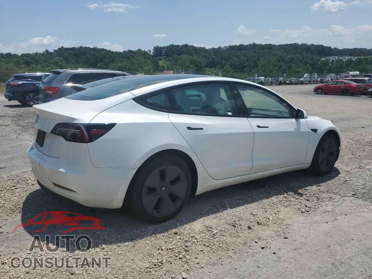 TESLA MODEL 3 2021 - 5YJ3E1EA2MF096033