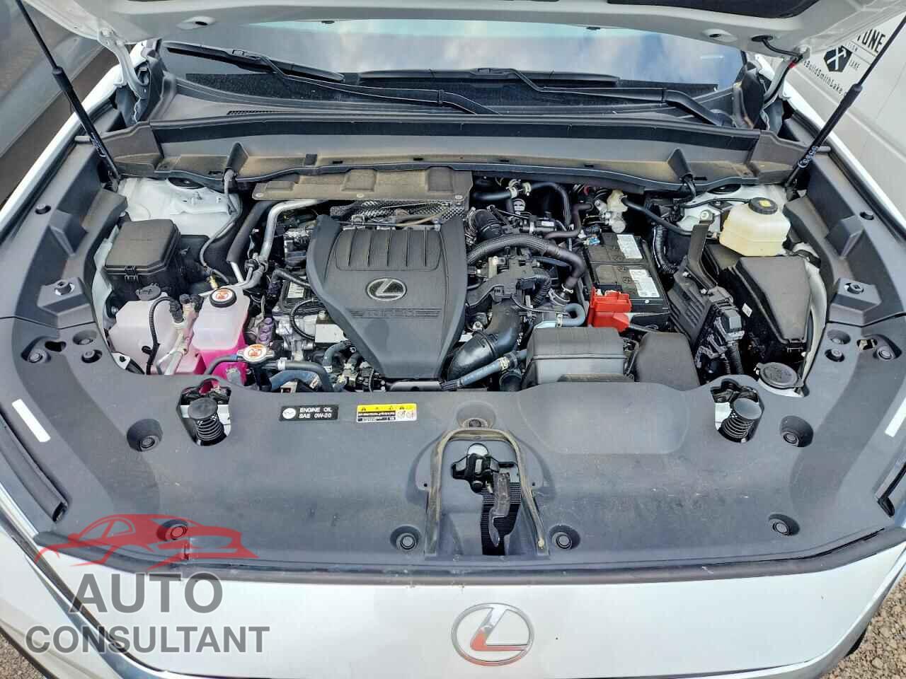 LEXUS UNKNOWN 2025 - 5TDAAAB6XSS028803