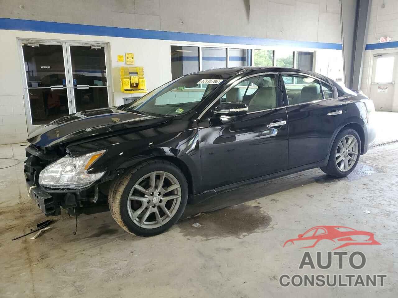 NISSAN MAXIMA 2011 - 1N4AA5AP6BC822352