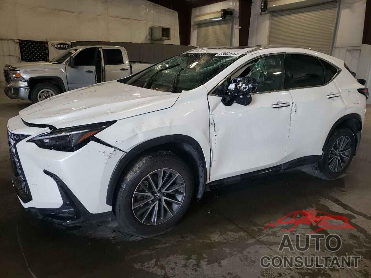 LEXUS NX 350 PRE 2024 - 2T2GGCEZ3RC043216