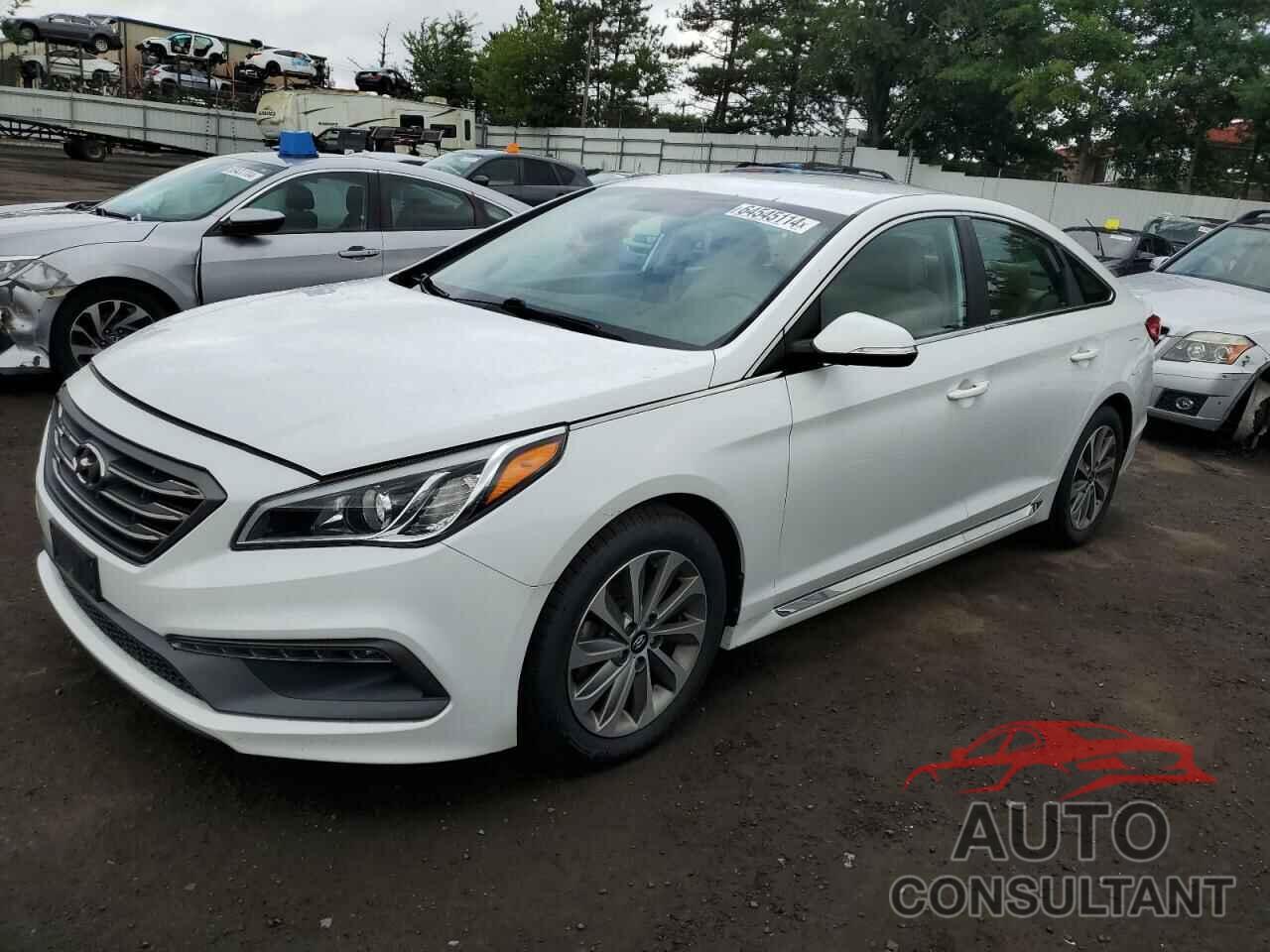 HYUNDAI SONATA 2016 - 5NPE34AF6GH352388