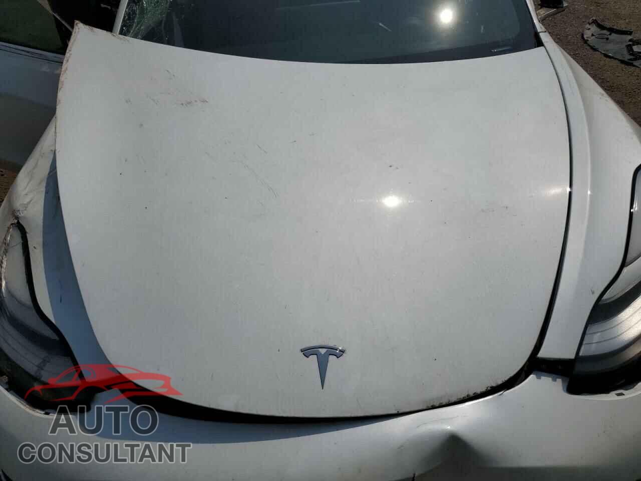 TESLA MODEL 3 2019 - 5YJ3E1EA7KF487725