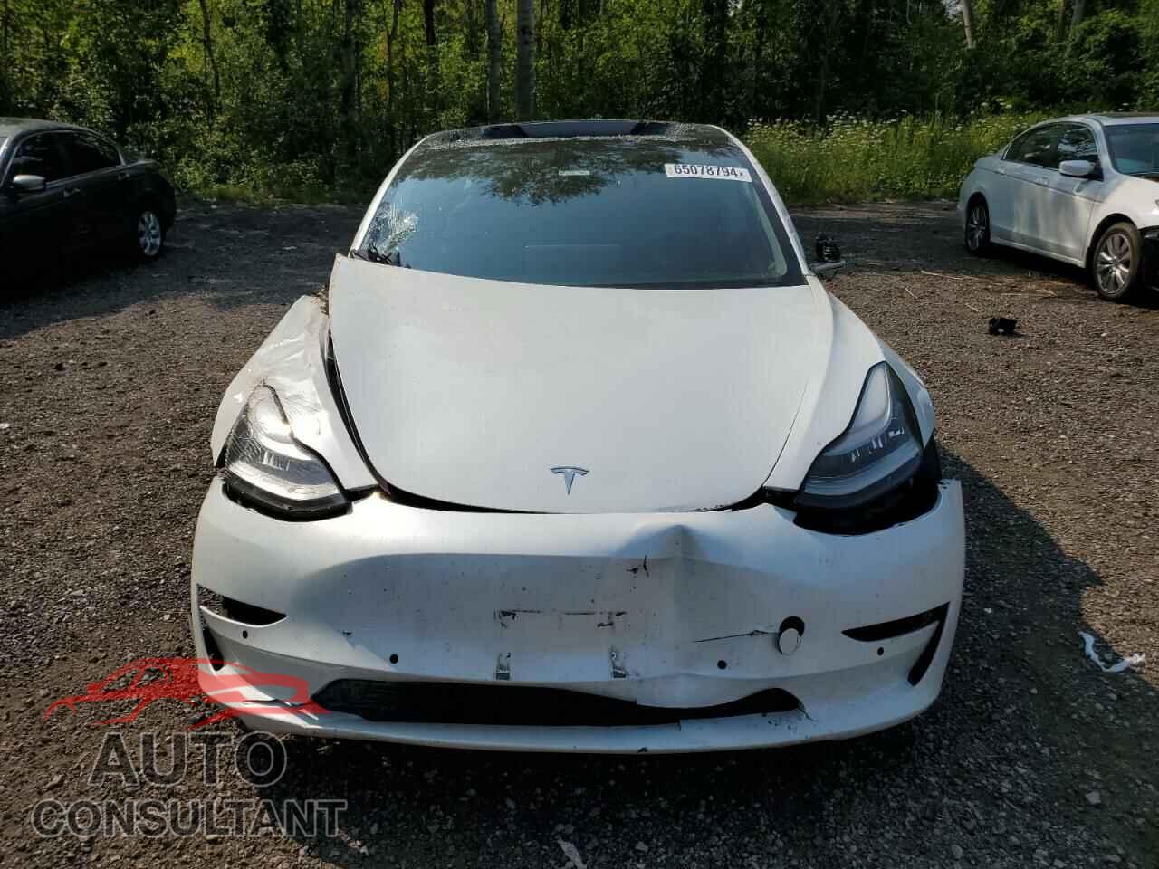 TESLA MODEL 3 2019 - 5YJ3E1EA7KF487725