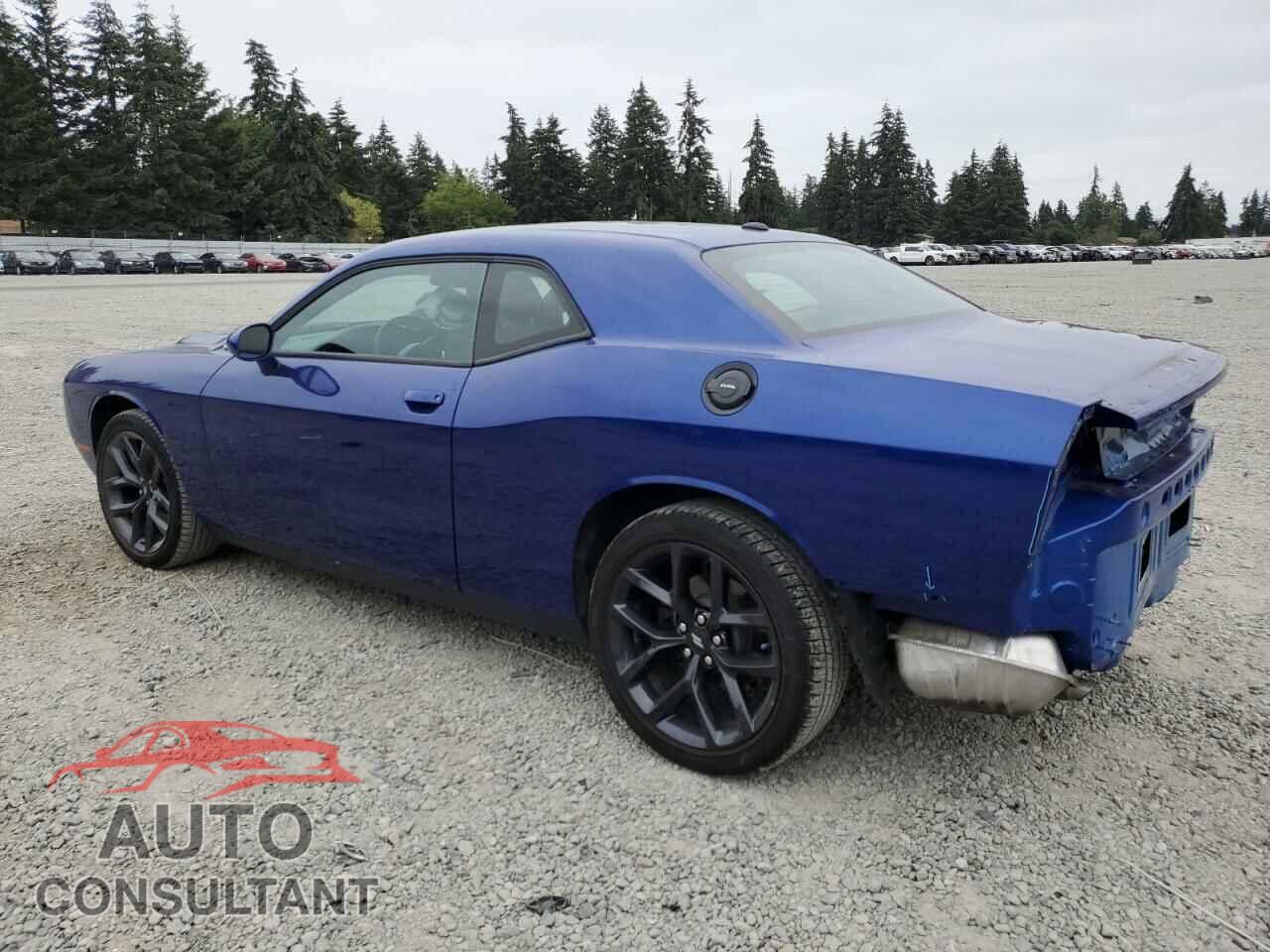 DODGE CHALLENGER 2020 - 2C3CDZAG4LH134886
