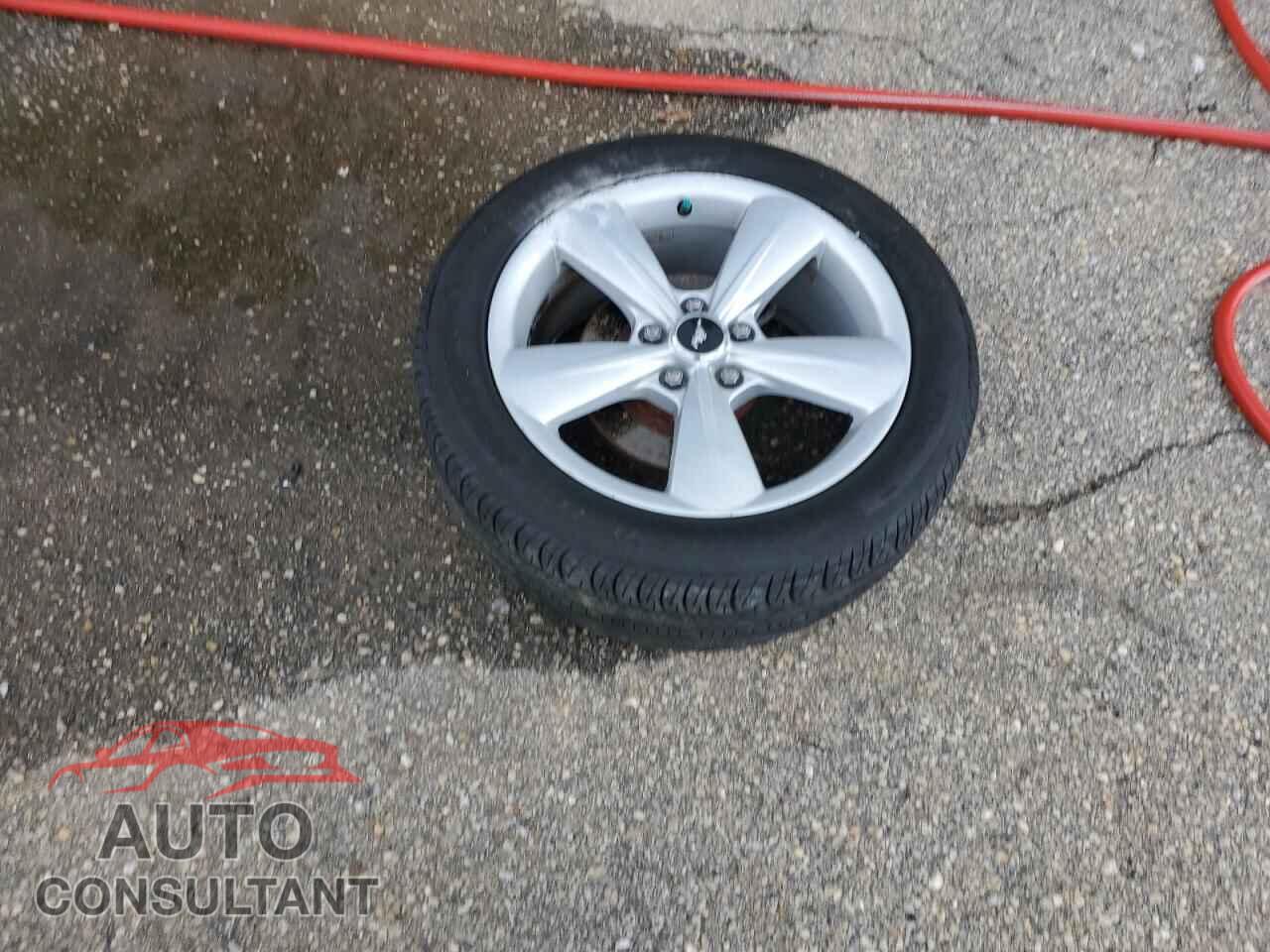 FORD MUSTANG 2014 - 1ZVBP8FF4E5314336
