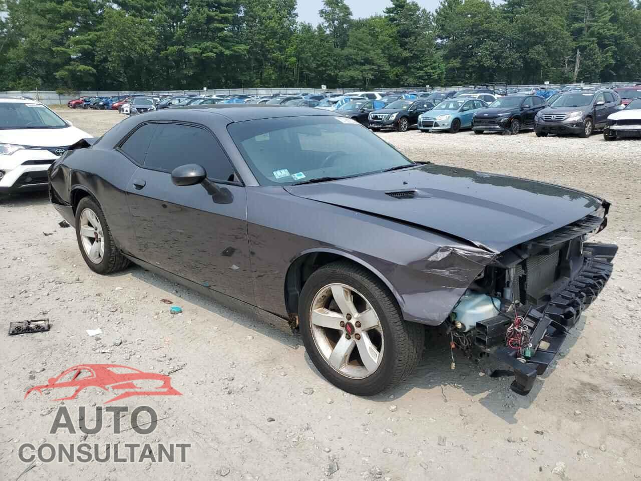 DODGE CHALLENGER 2013 - 2C3CDYAG9DH662807