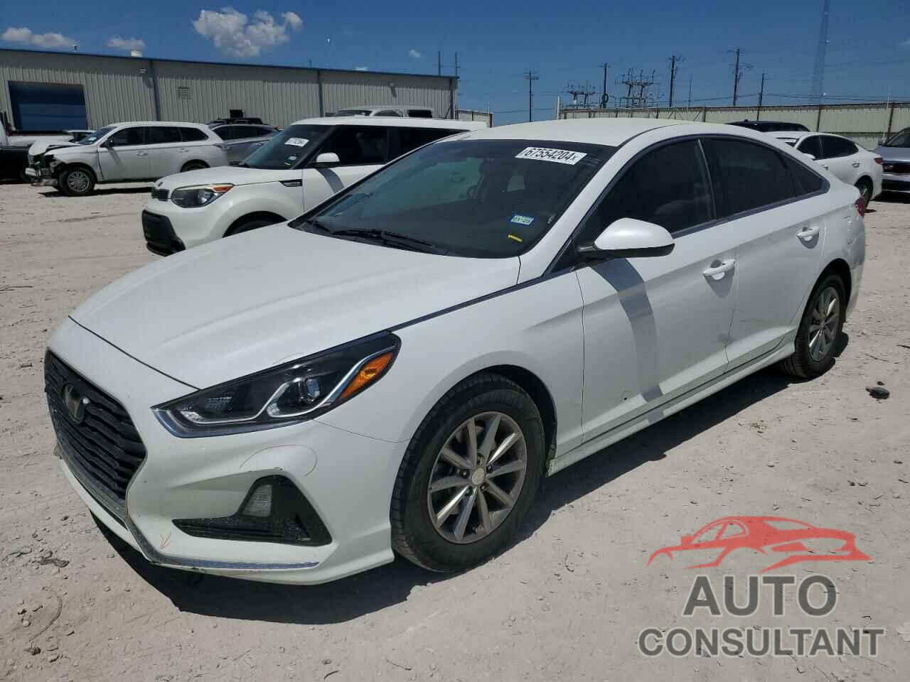 HYUNDAI SONATA 2019 - 5NPE24AF7KH771054