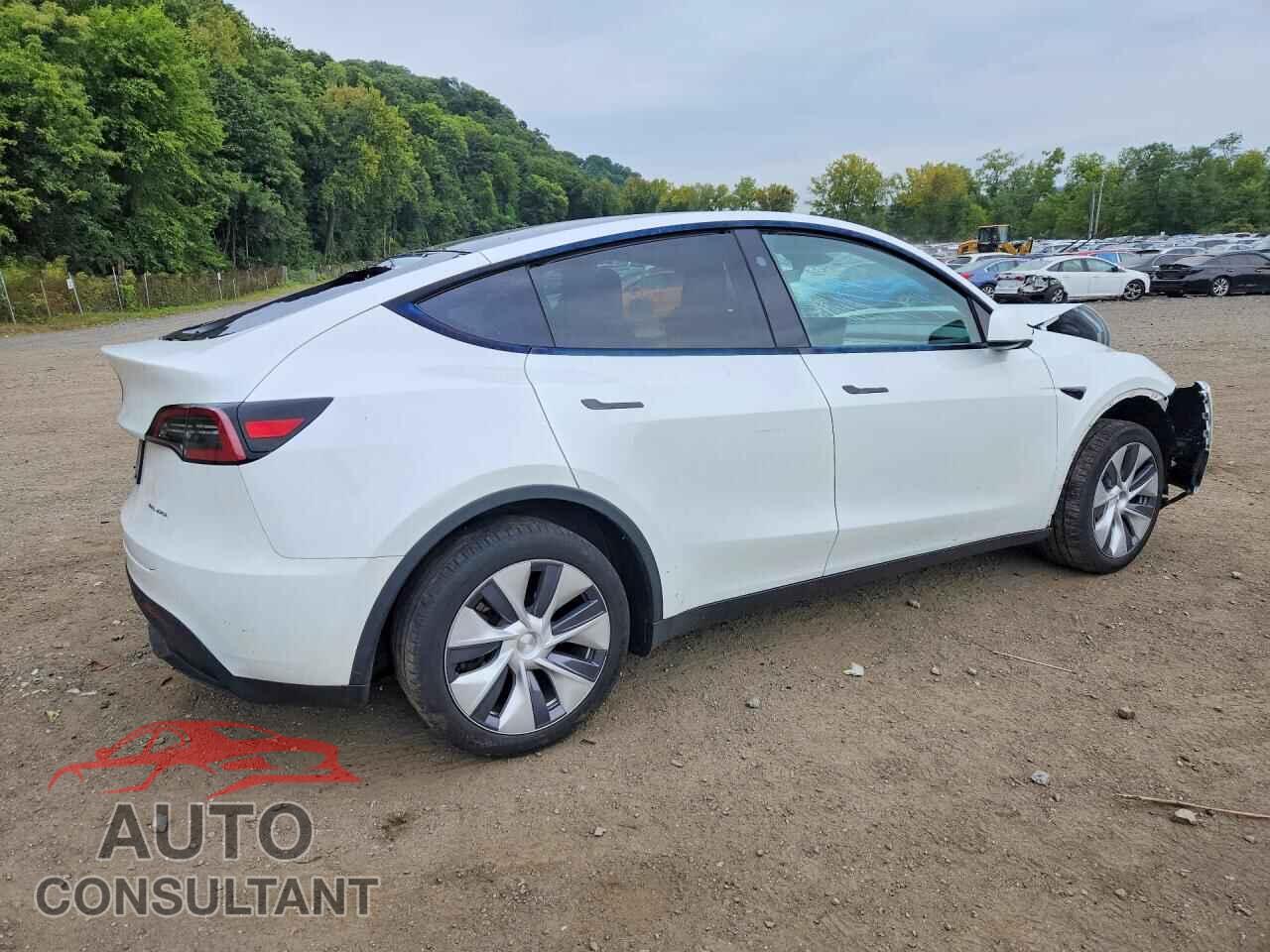 TESLA MODEL Y 2024 - 7SAYGDEE1RA259976