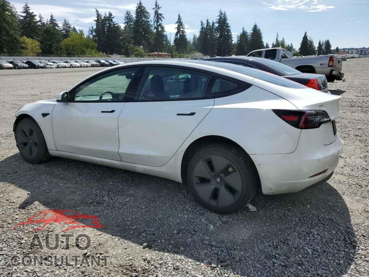TESLA MODEL 3 2021 - 5YJ3E1EA2MF092158