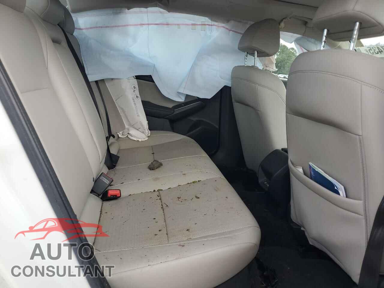 HONDA CIVIC 2023 - 2HGFE1F94PH324941