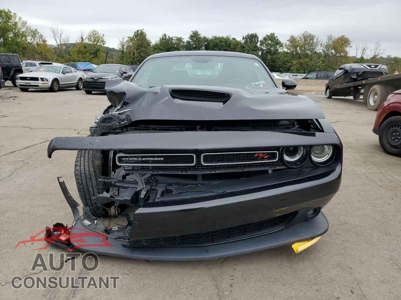 DODGE CHALLENGER 2019 - 2C3CDZBT0KH521266