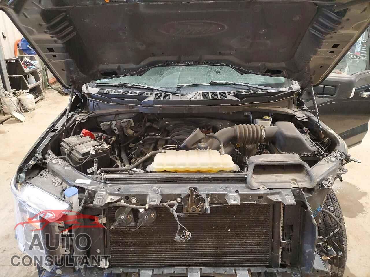 FORD F150 2021 - 1FTFW1E53MKE78264