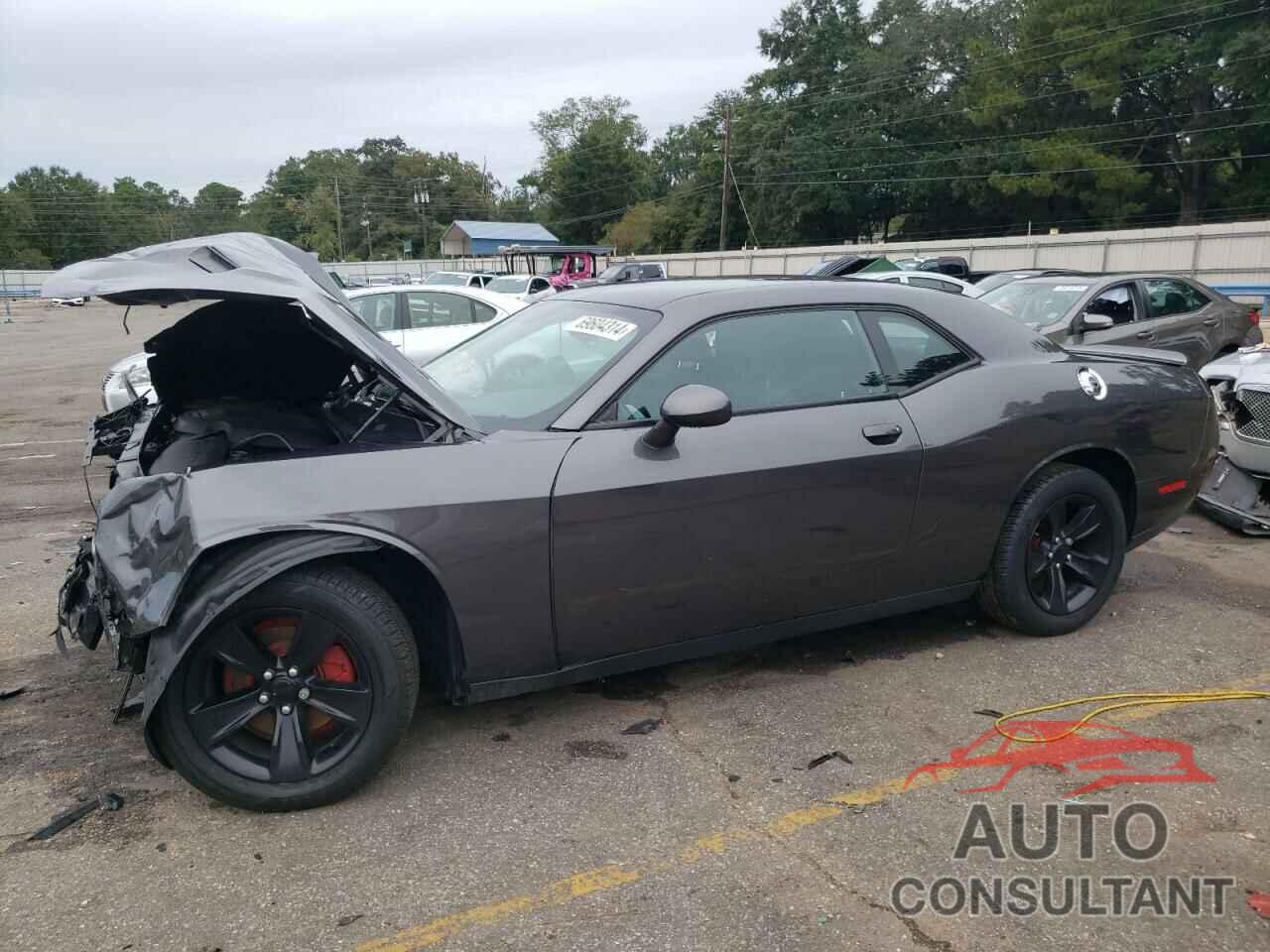 DODGE CHALLENGER 2019 - 2C3CDZAG6KH729463