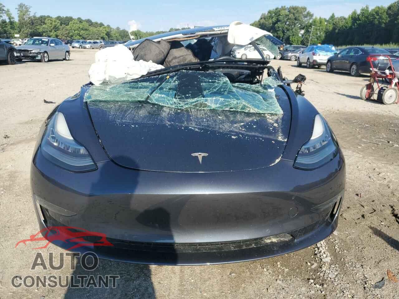 TESLA MODEL 3 2018 - 5YJ3E1EA7JF022022