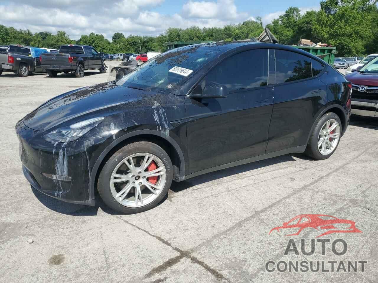 TESLA MODEL Y 2021 - 5YJYGDEE6MF295512