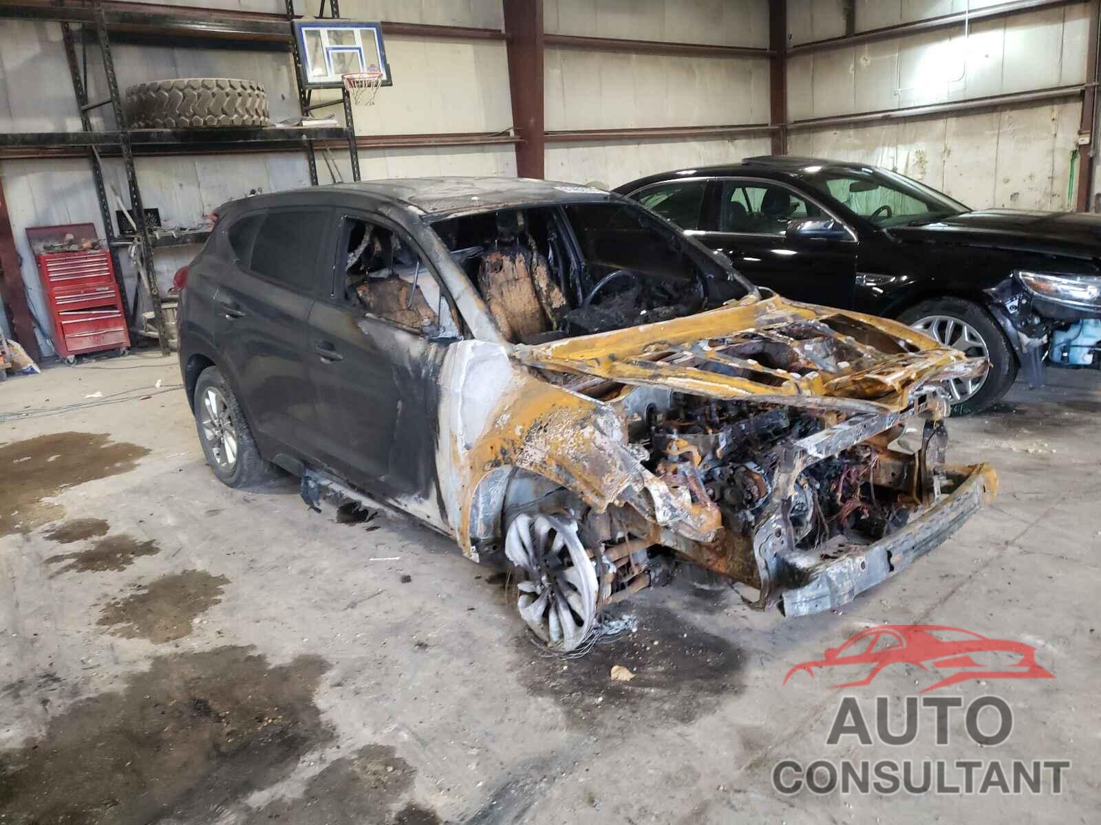 HYUNDAI TUCSON 2017 - KM8J23A46HU342764