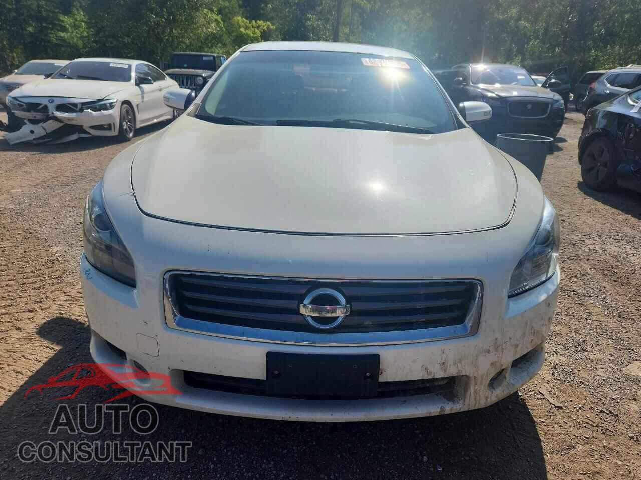 NISSAN MAXIMA 2013 - 1N4AA5AP1DC807907