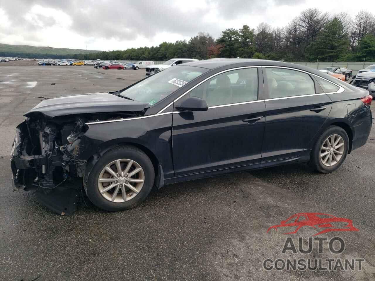 HYUNDAI SONATA 2018 - 5NPE24AF4JH666504