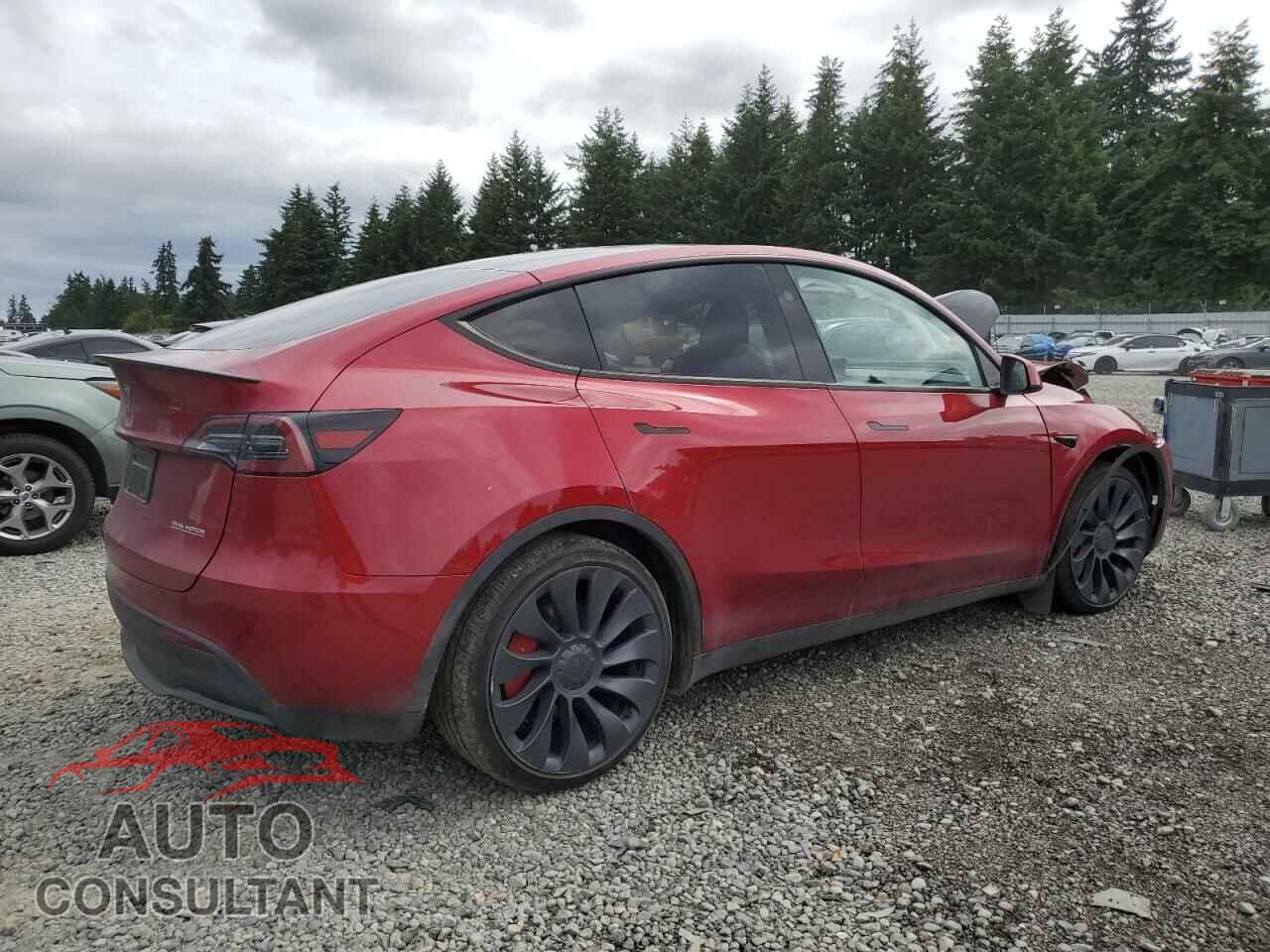 TESLA MODEL Y 2024 - 7SAYGDEF3RF193152