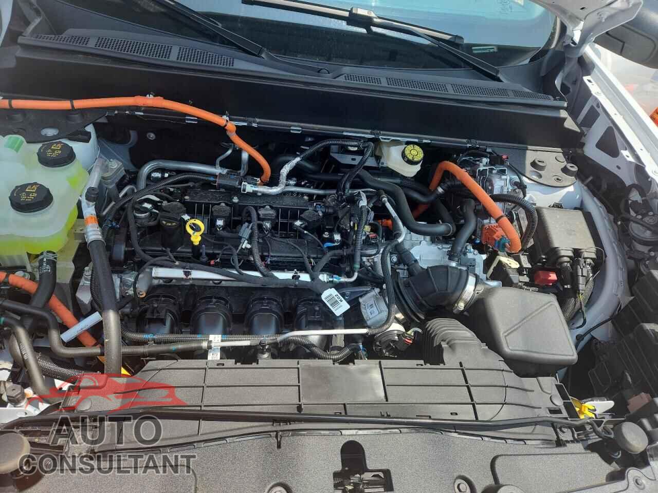 FORD MAVERICK 2026 - 3FTTW8B36TRA69989
