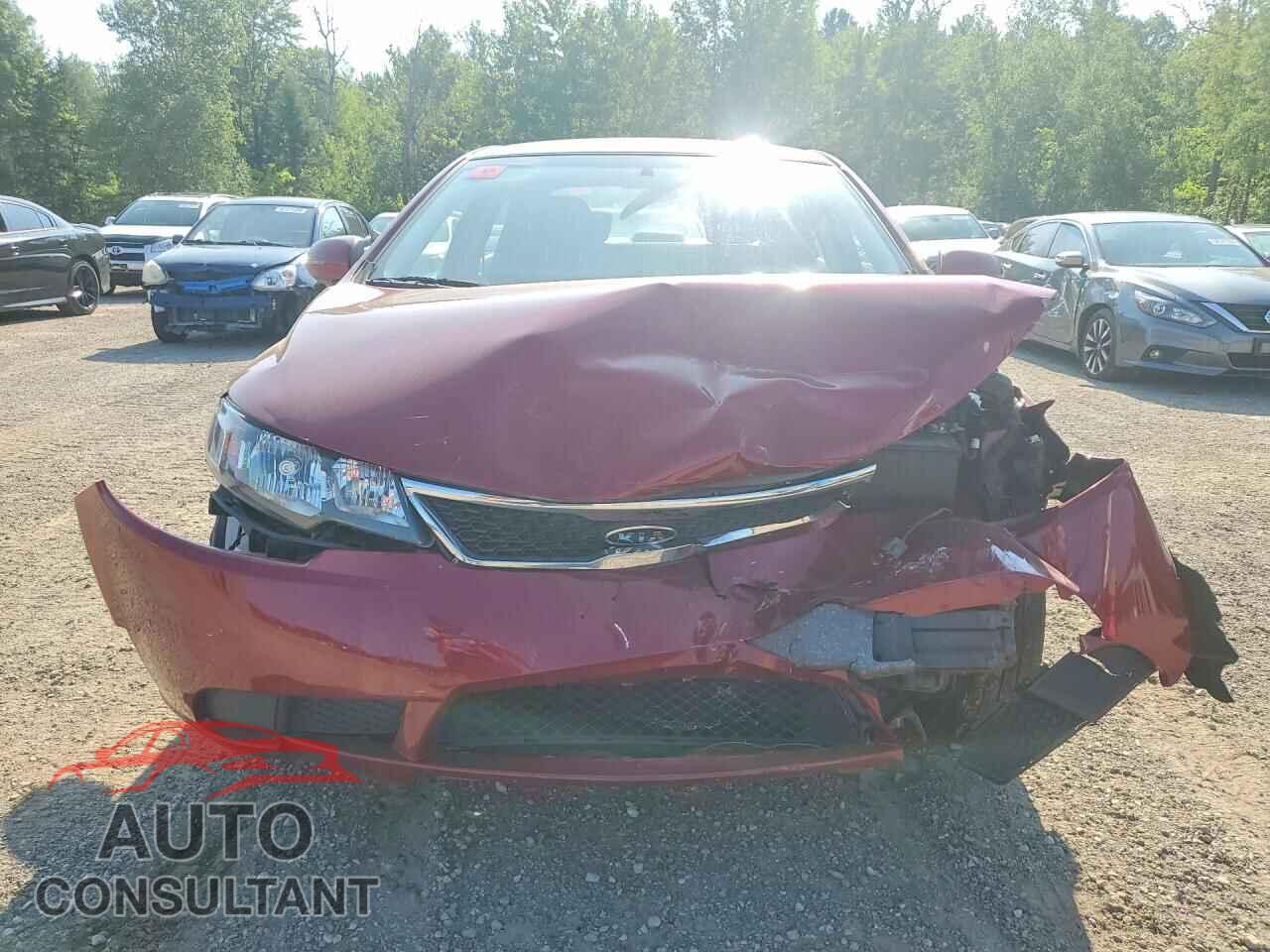 KIA FORTE 2012 - KNAFU4A20C5546162