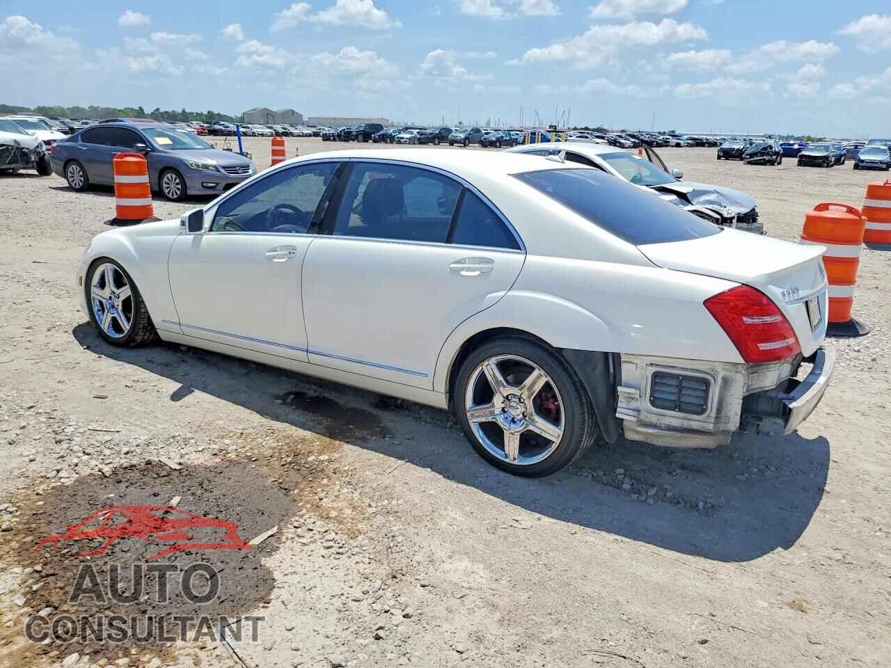 MERCEDES-BENZ S-CLASS 2010 - WDDNG7BB3AA324733