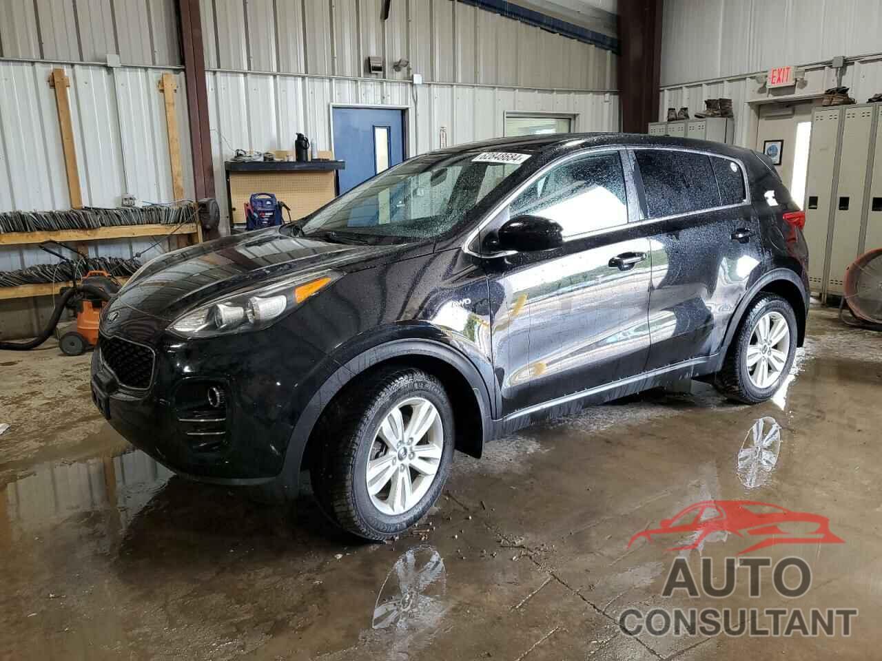 KIA SPORTAGE 2017 - KNDPMCAC9H7296944