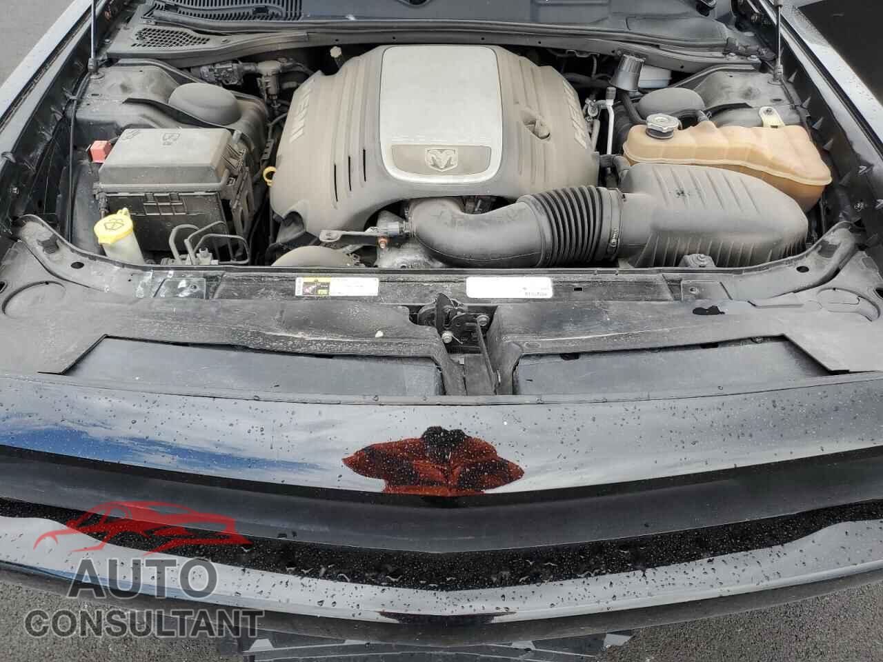 DODGE CHALLENGER 2013 - 2C3CDYBTXDH500633