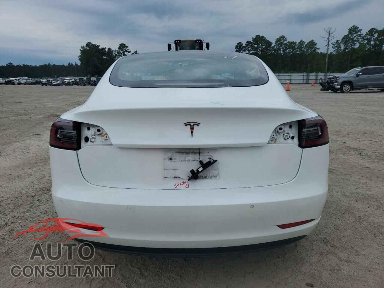 TESLA MODEL 3 2019 - 5YJ3E1EA9KF302025