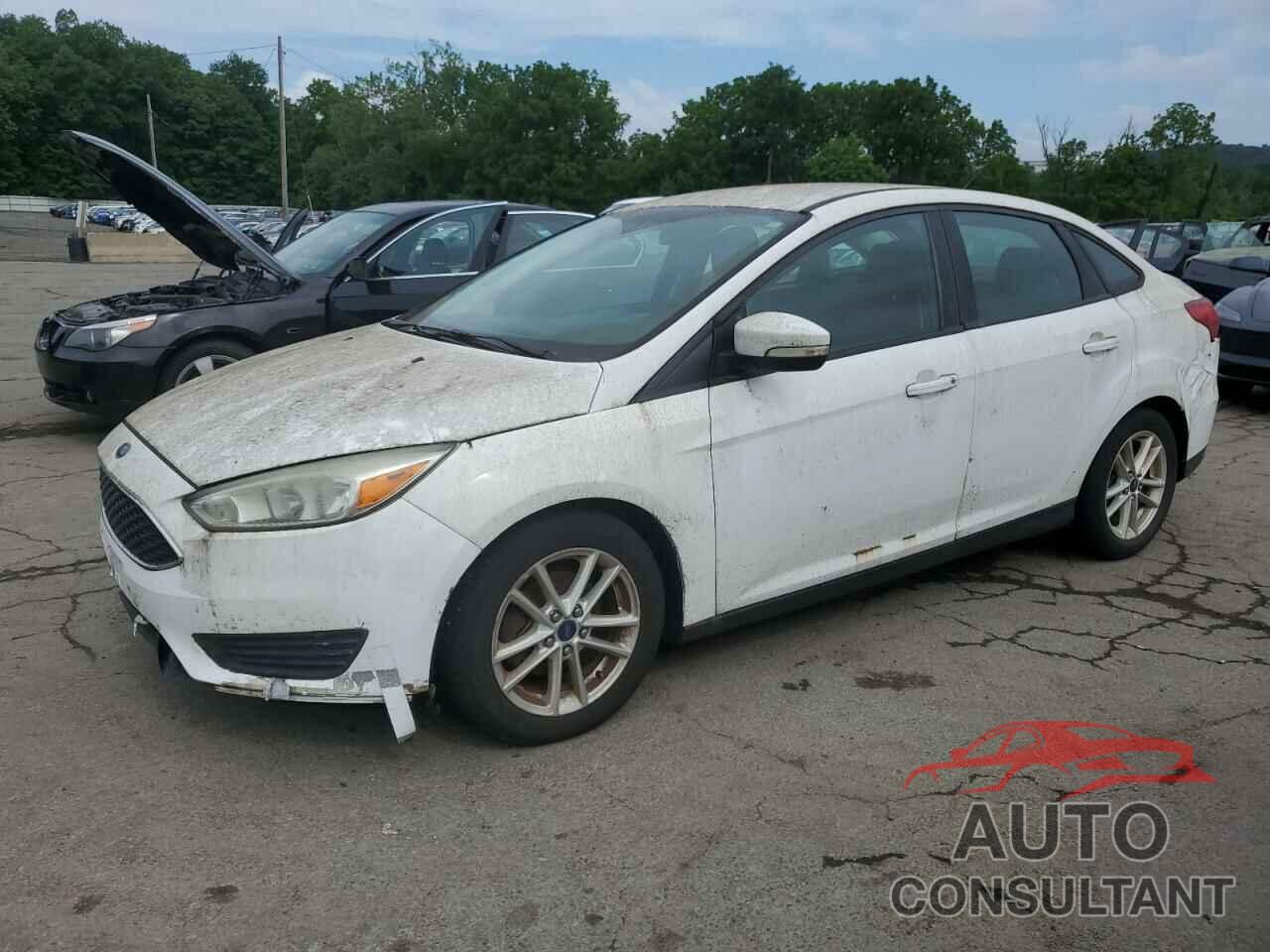 FORD FOCUS 2015 - 1FADP3F24FL264018