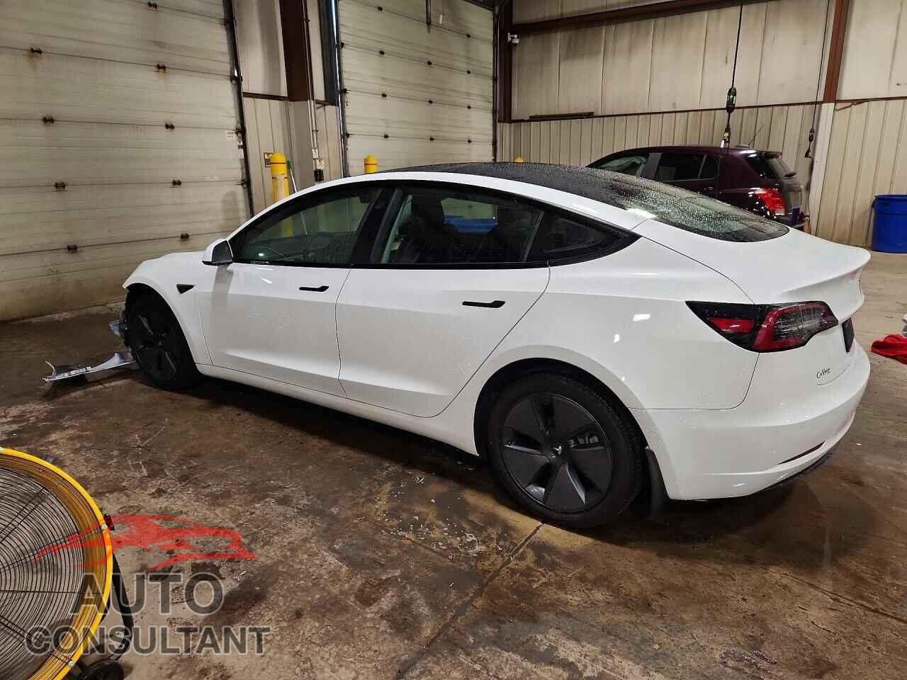 TESLA MODEL 3 2021 - 5YJ3E1EA5MF977499