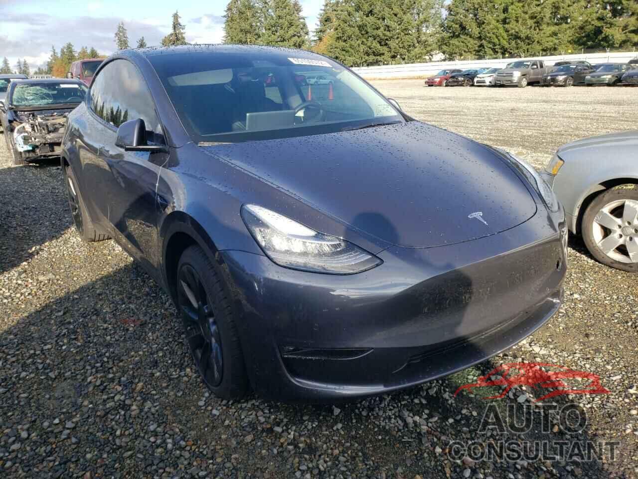 TESLA MODEL Y 2021 - 5YJYGAEE1MF286876