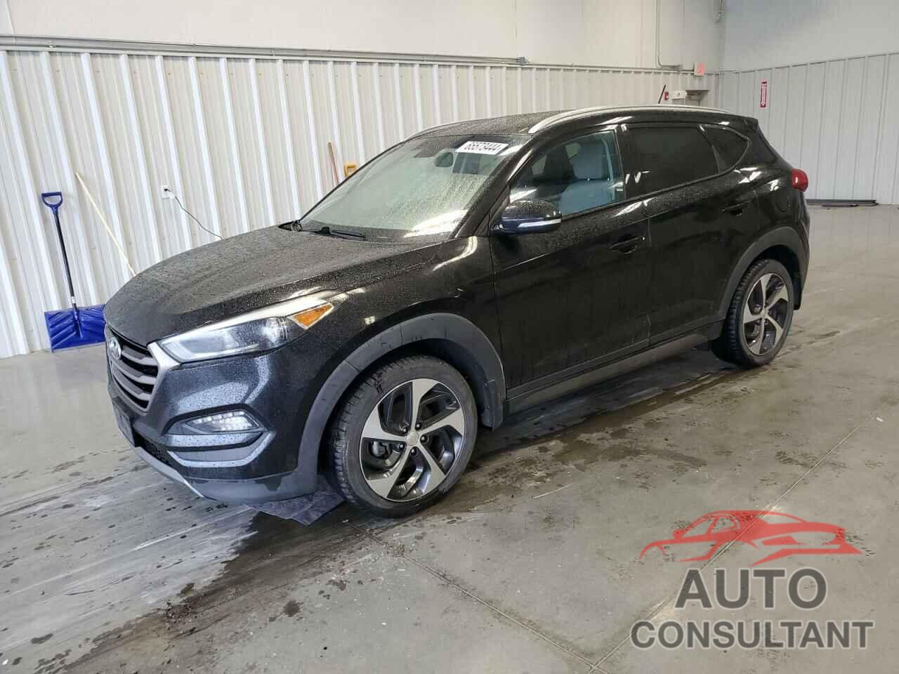 HYUNDAI TUCSON 2016 - KM8J3CA21GU192377