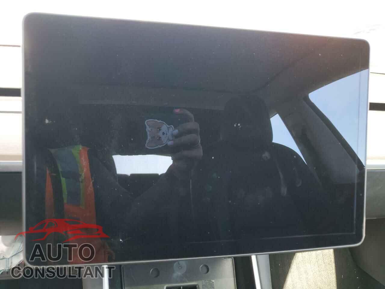 TESLA MODEL 3 2019 - 5YJ3E1EA5KF310106