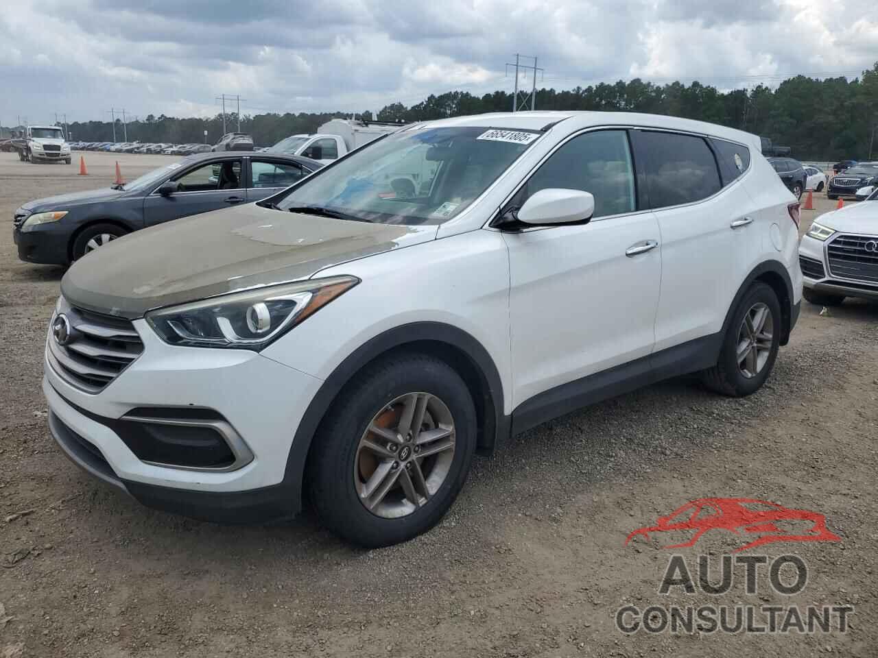 HYUNDAI SANTA FE 2017 - 5NMZT3LB4HH020499