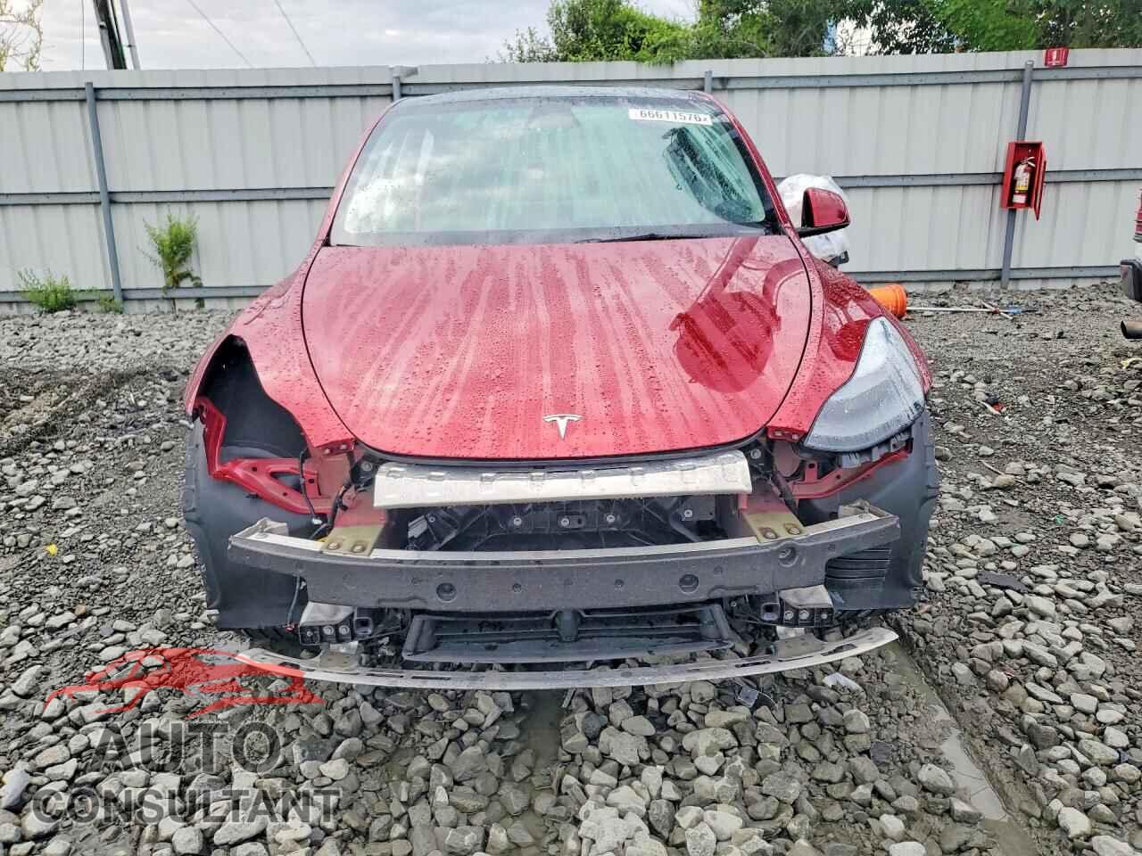 TESLA MODEL Y 2024 - 7SAYGDEE2RF083569