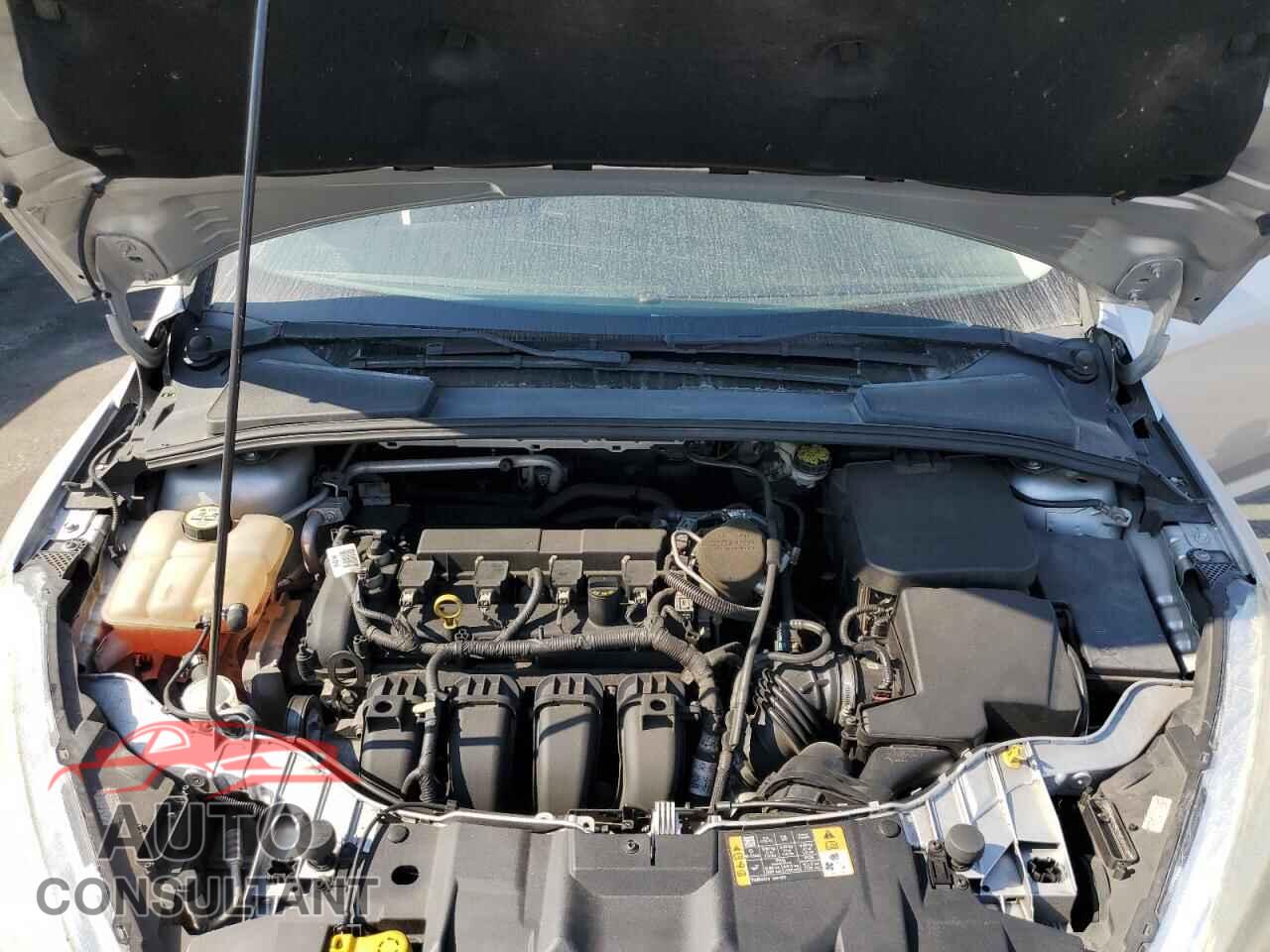 FORD FOCUS 2016 - 1FADP3F20GL254250