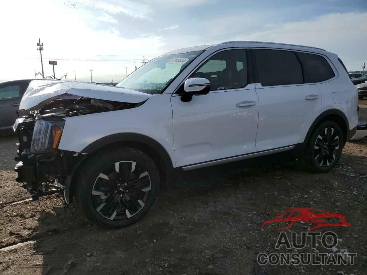 KIA TELLURIDE 2024 - 5XYP5DGCXRG502822