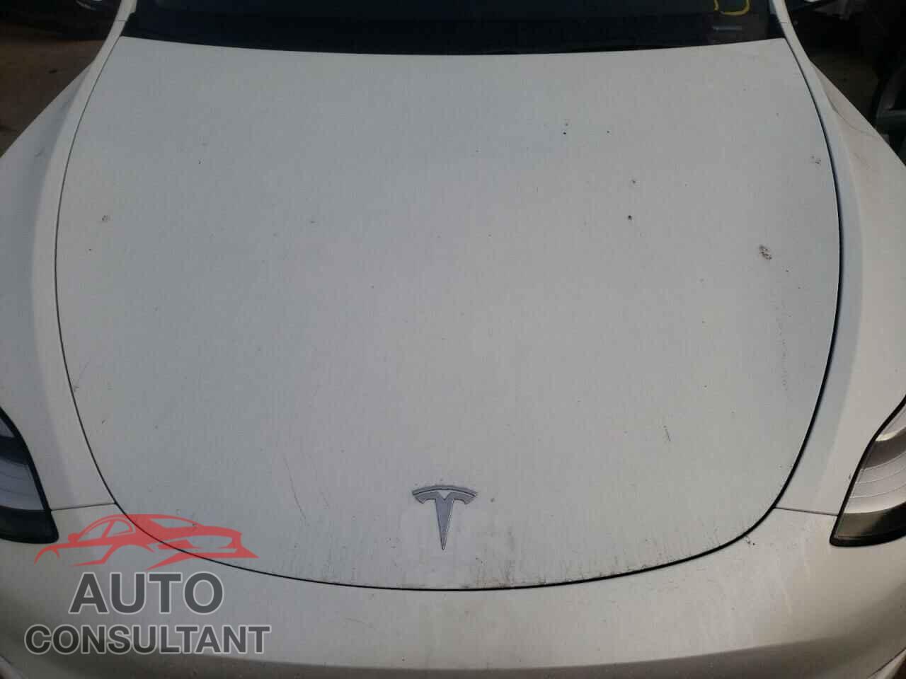 TESLA MODEL Y 2021 - 5YJYGDEE5MF077674