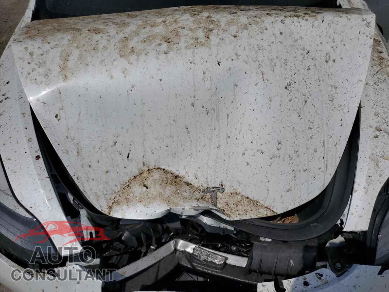 TESLA MODEL 3 2021 - 5YJ3E1EB2MF975489